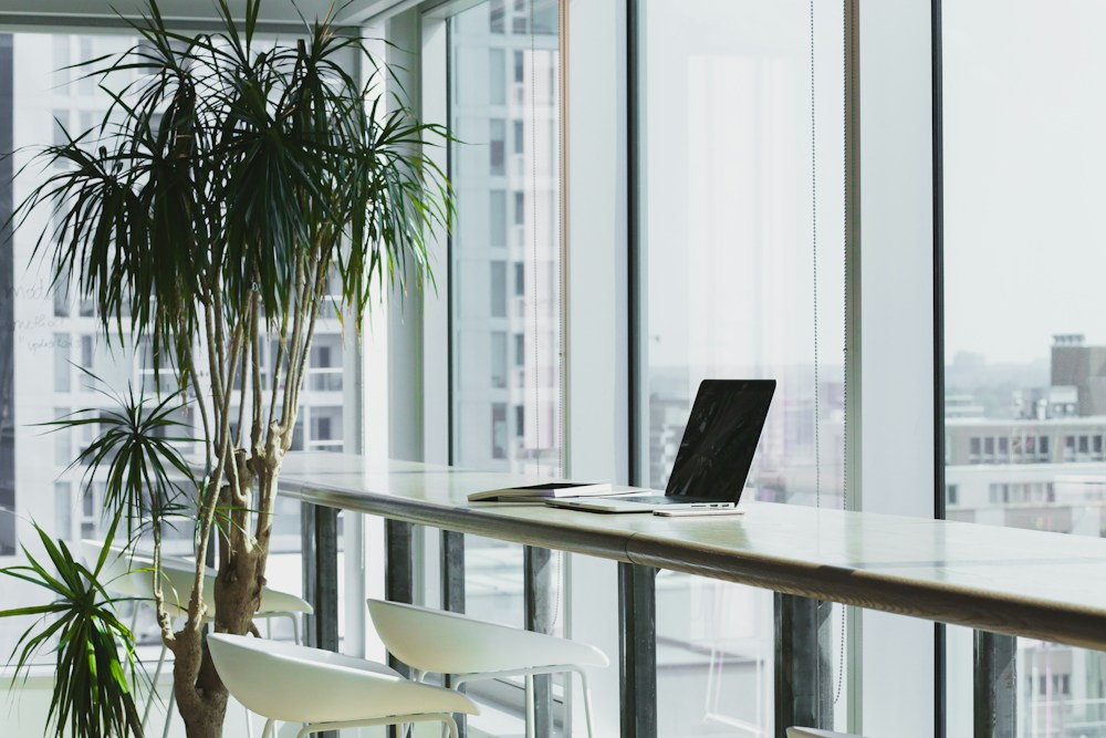 Quiet business workspace